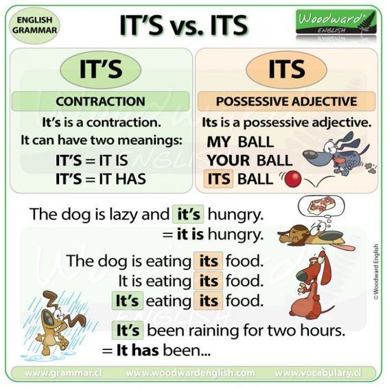 Its vs It's vs Its': When to Use Each