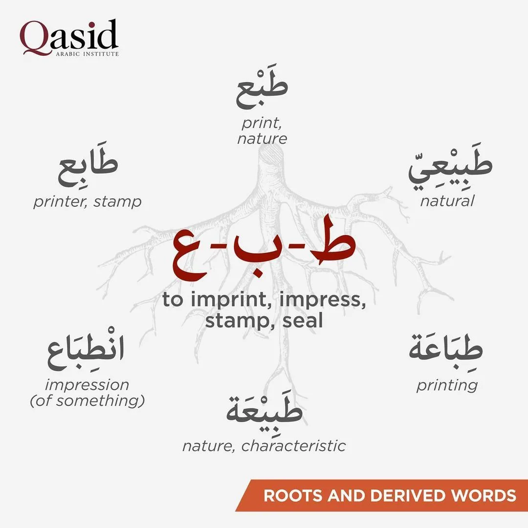 Arabic Root System: Trilateral Roots and Word Formation