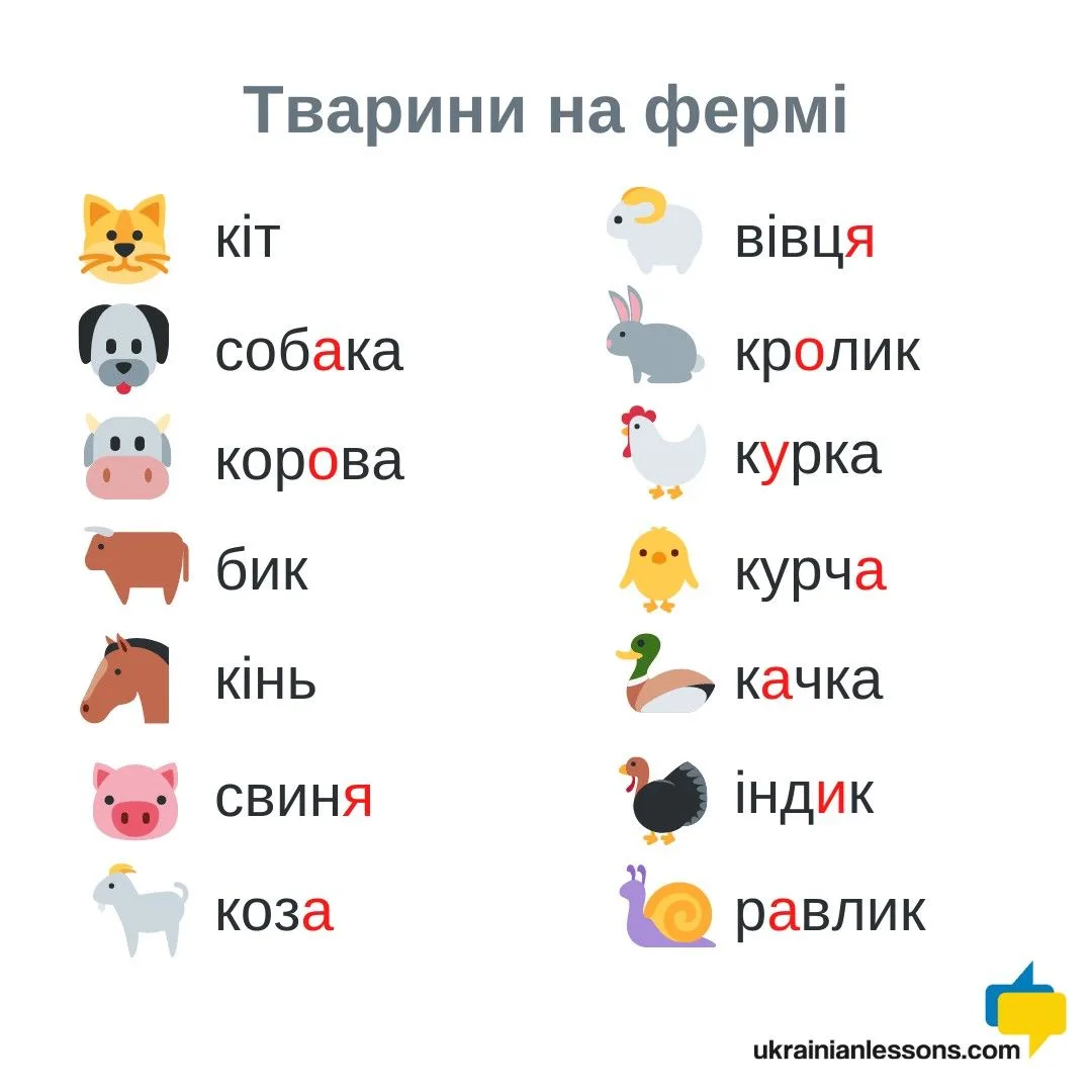 Ukrainian vs Russian Vocabulary: False Friends