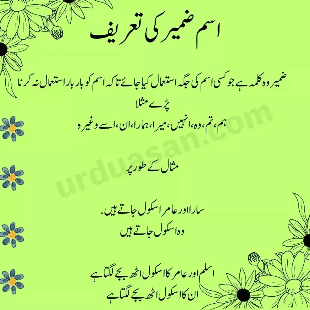 Urdu Grammar: Cases, Gender, and the Ergative