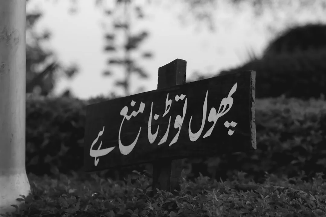 Urdu vs Hindi: Same Language, Different Scripts