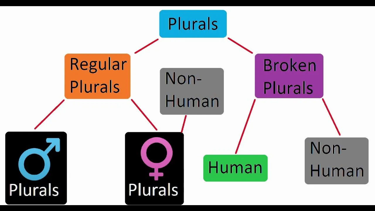 Arabic Broken Plurals: Comprehensive Patterns Reference