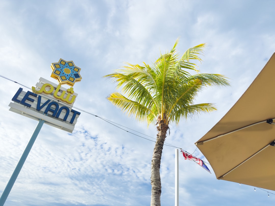 Arabic Weather, Seasons, and Nature Vocabulary Reference