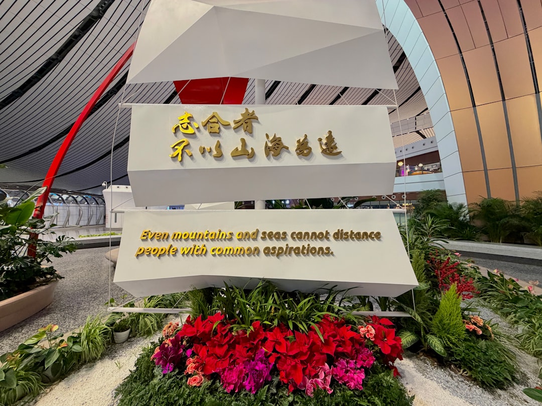 Chinese Common Phrases: Daily Conversation Reference