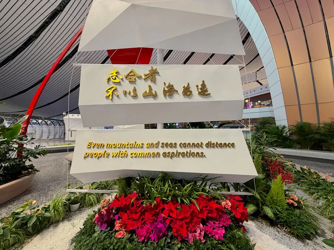 Chinese Common Phrases: Daily Conversation Reference