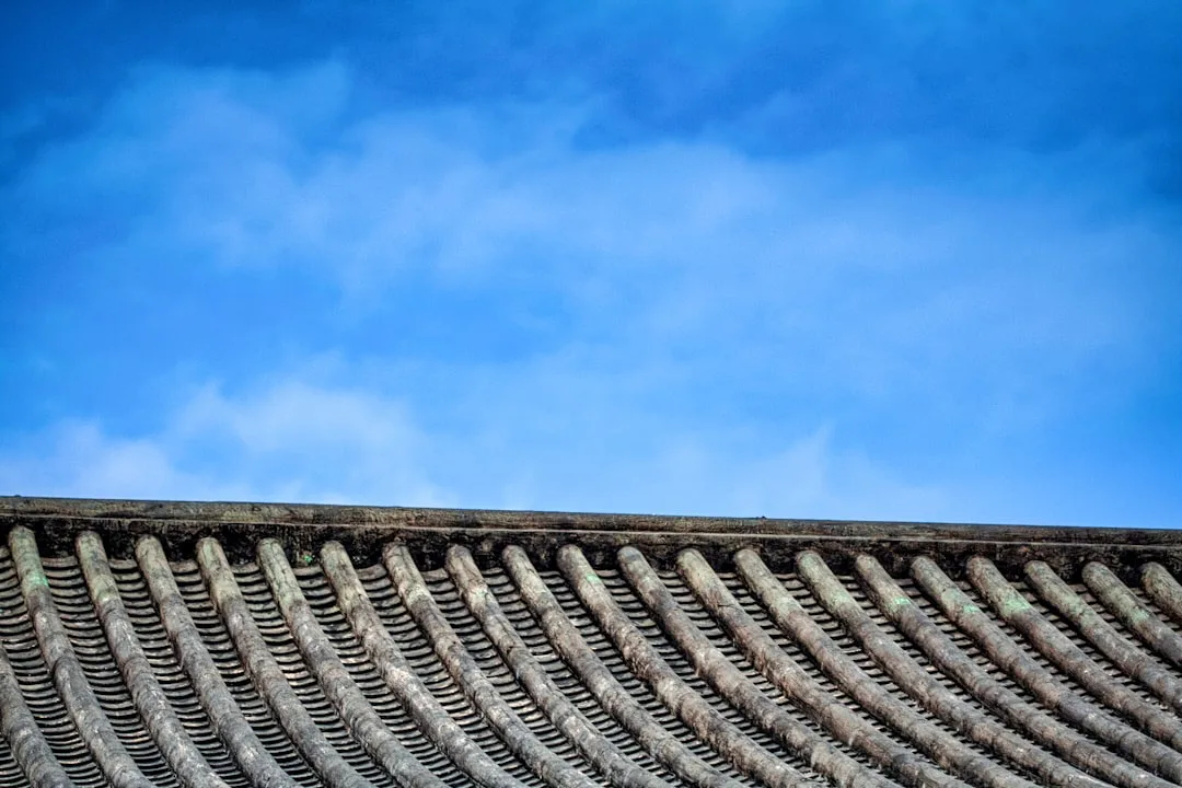 Chinese Top 100 Common Verbs Reference