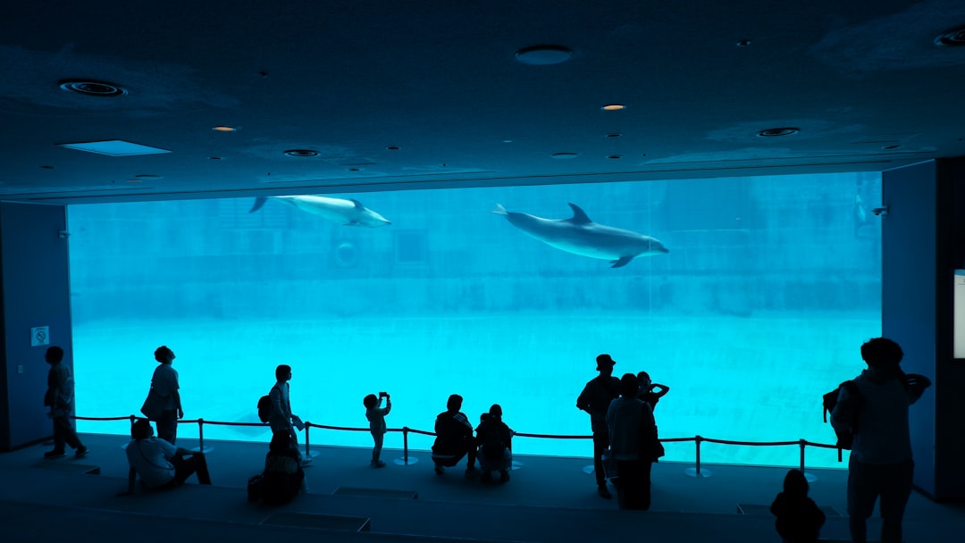 Japanese Family Relationships: Vocabulary Reference