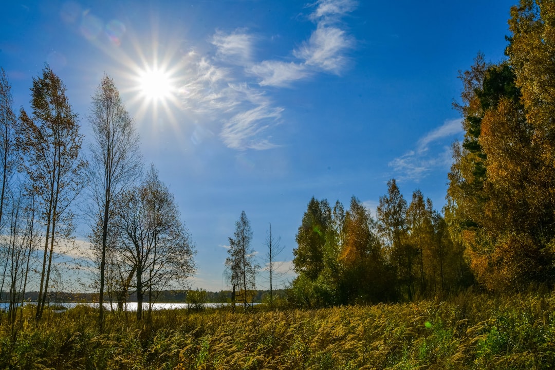Russian Days, Months, and Time Expressions Reference