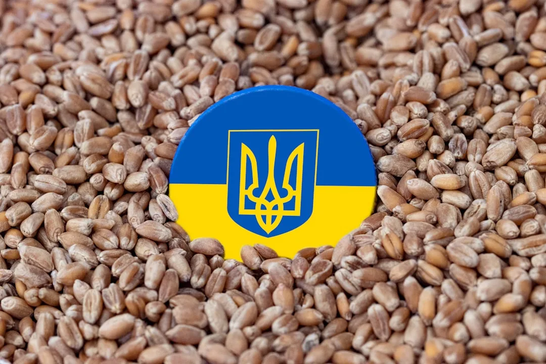 Ukrainian Common Phrases for Daily Conversation Reference