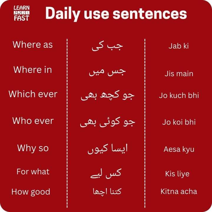 Urdu Common Phrases and Daily Conversation Reference