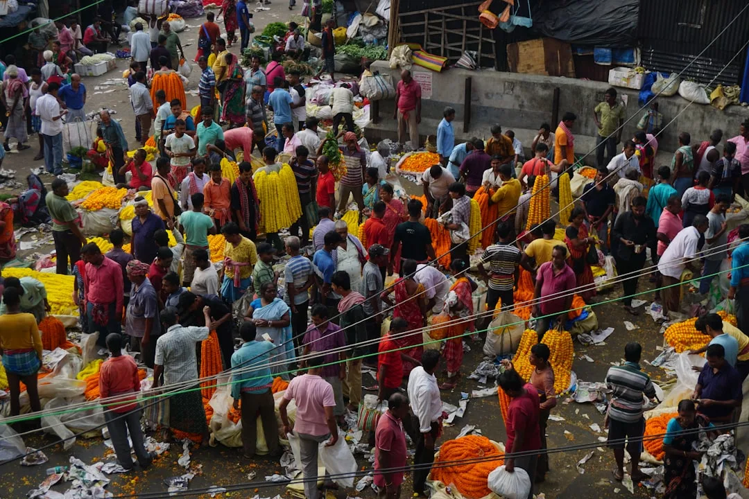 Bengali Colors and Adjectives: Descriptions Reference