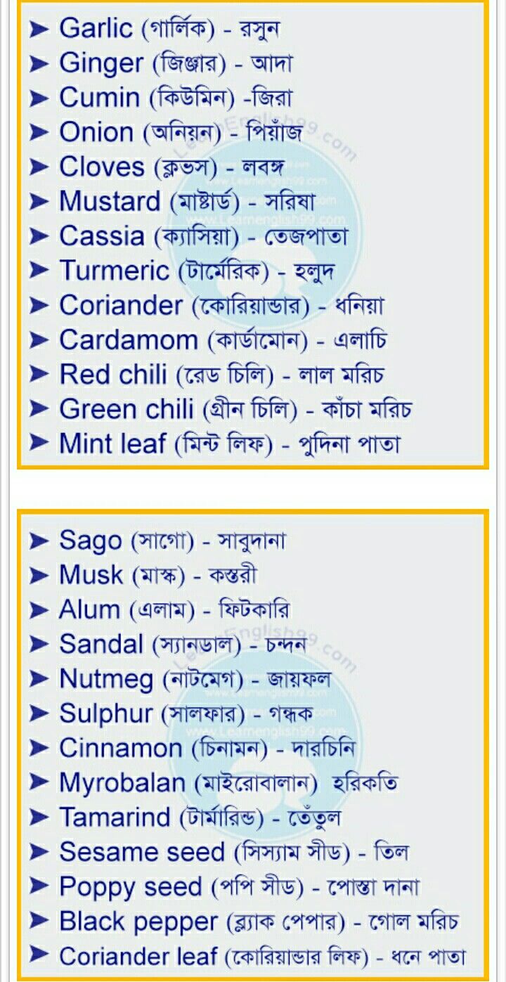 Top 100 Common Bengali Verbs with Conjugation Guide