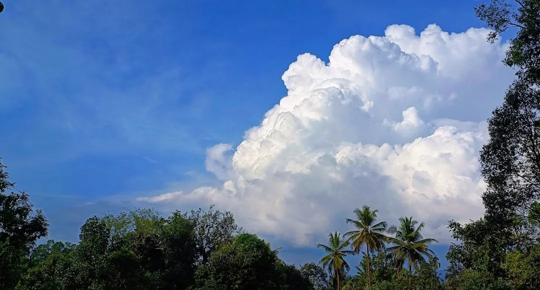Swahili Weather, Seasons, and Nature Vocabulary