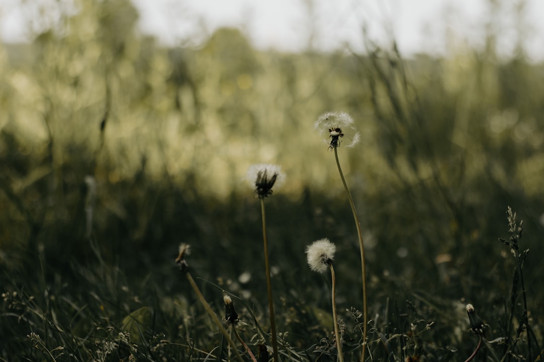 Ukrainian Weather, Seasons, and Nature Vocabulary Reference