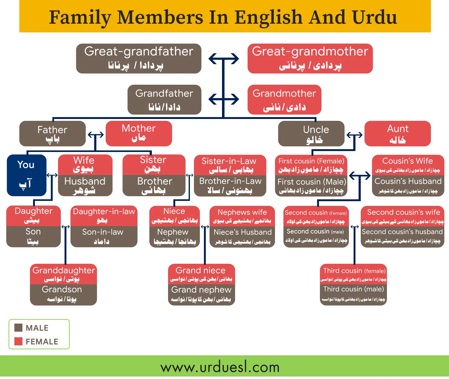 Urdu Family Relationships Vocabulary Reference