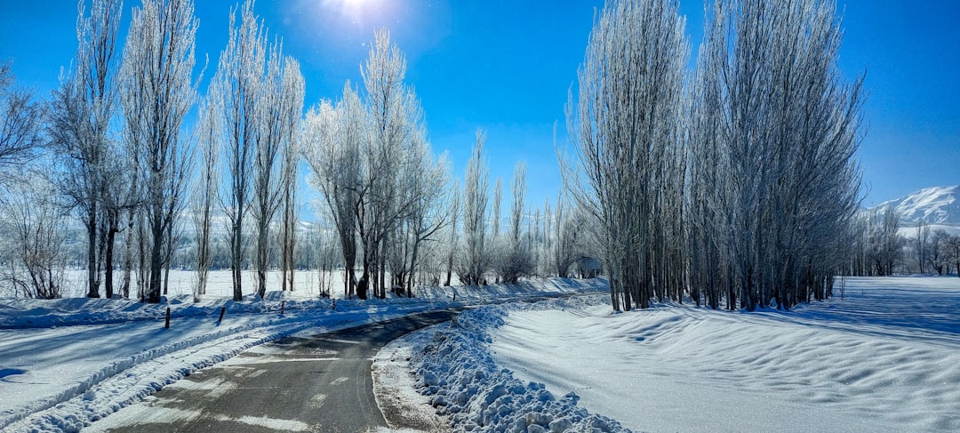 Urdu Weather, Seasons and Nature Vocabulary Reference