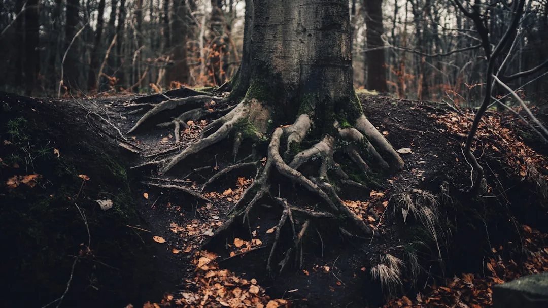 How to Write a Root Cause Analysis Report